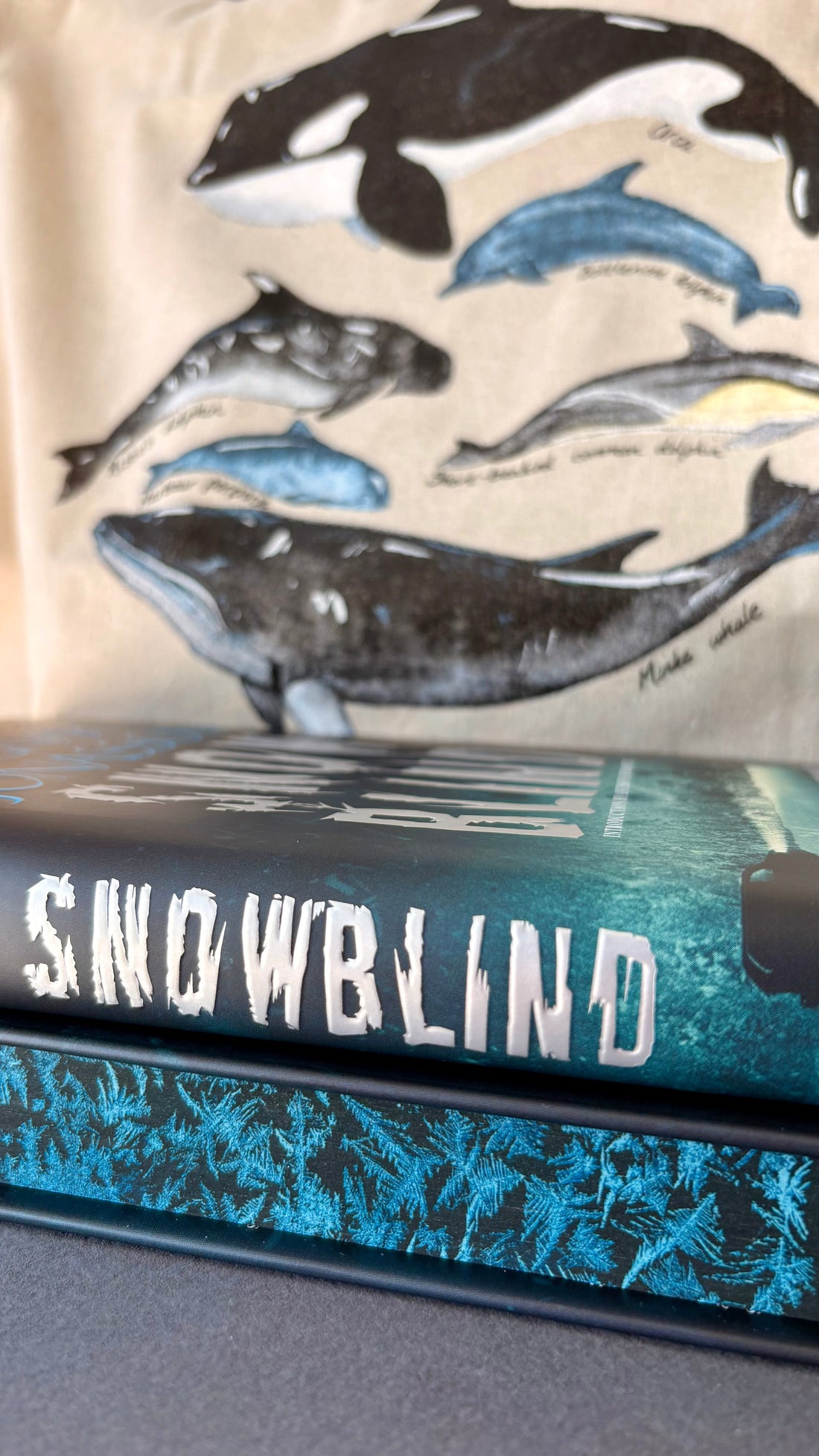 Case File #9: Snowblind